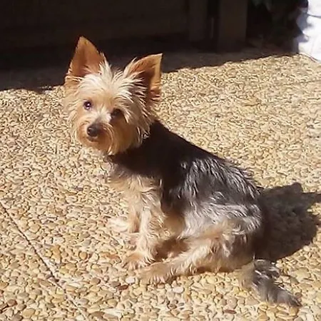 Village Naturiste Cap D'agde Luvitere Apartamento *