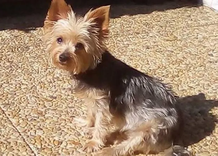 Village Naturiste Cap D'agde Luvitere Appartamento *